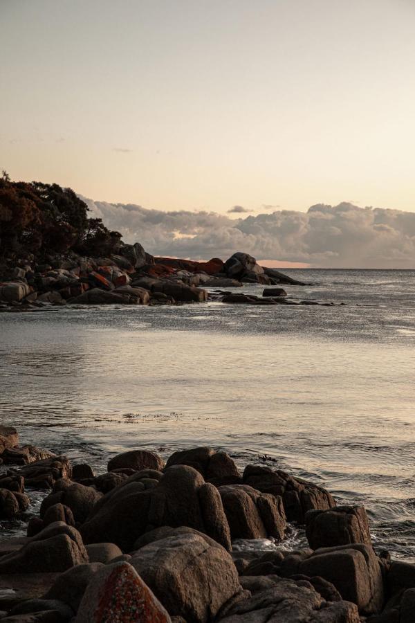 הוילה Driftwood Rest Binalong Bay Sleeps 4 מראה חיצוני תמונה